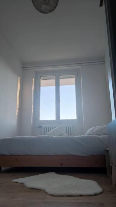Charmant T1Bis Renove Avec Gout Rodez Dış mekan fotoğraf